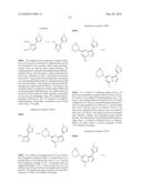 METHODS FOR INHIBITING PROTEIN KINASES diagram and image