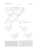 METHODS FOR INHIBITING PROTEIN KINASES diagram and image