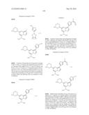 METHODS FOR INHIBITING PROTEIN KINASES diagram and image