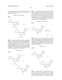 METHODS FOR INHIBITING PROTEIN KINASES diagram and image