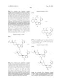 METHODS FOR INHIBITING PROTEIN KINASES diagram and image