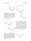 METHODS FOR INHIBITING PROTEIN KINASES diagram and image