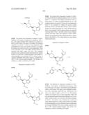 METHODS FOR INHIBITING PROTEIN KINASES diagram and image