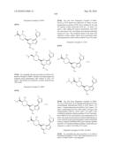 METHODS FOR INHIBITING PROTEIN KINASES diagram and image