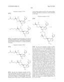 METHODS FOR INHIBITING PROTEIN KINASES diagram and image