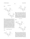 METHODS FOR INHIBITING PROTEIN KINASES diagram and image