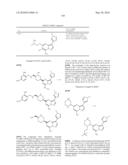 METHODS FOR INHIBITING PROTEIN KINASES diagram and image