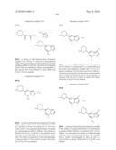 METHODS FOR INHIBITING PROTEIN KINASES diagram and image