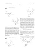 METHODS FOR INHIBITING PROTEIN KINASES diagram and image