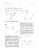 METHODS FOR INHIBITING PROTEIN KINASES diagram and image