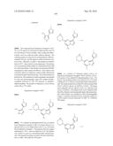 METHODS FOR INHIBITING PROTEIN KINASES diagram and image