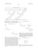 METHODS FOR INHIBITING PROTEIN KINASES diagram and image