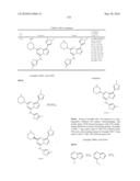 METHODS FOR INHIBITING PROTEIN KINASES diagram and image