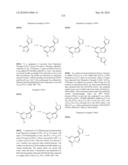 METHODS FOR INHIBITING PROTEIN KINASES diagram and image