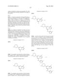 METHODS FOR INHIBITING PROTEIN KINASES diagram and image