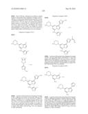 METHODS FOR INHIBITING PROTEIN KINASES diagram and image