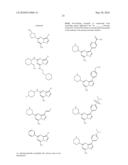 METHODS FOR INHIBITING PROTEIN KINASES diagram and image