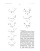 METHODS FOR INHIBITING PROTEIN KINASES diagram and image