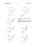 METHODS FOR INHIBITING PROTEIN KINASES diagram and image