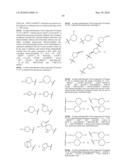 METHODS FOR INHIBITING PROTEIN KINASES diagram and image