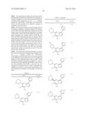 METHODS FOR INHIBITING PROTEIN KINASES diagram and image