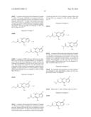 METHODS FOR INHIBITING PROTEIN KINASES diagram and image