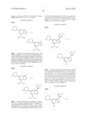 METHODS FOR INHIBITING PROTEIN KINASES diagram and image