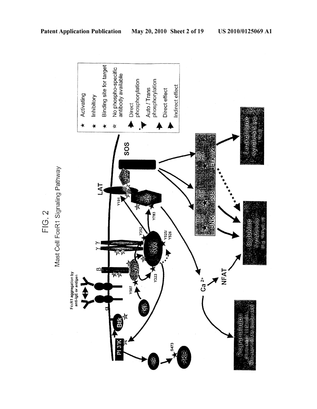 Methods of Treating or Preventing Autoimmune Diseases with 2,4-Pyrimidinediamine Compounds - diagram, schematic, and image 03