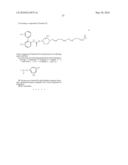 BIPHENYL COMPOUNDS USEFUL AS MUSCARINIC RECEPTOR ANTAGONISTS diagram and image