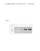 USE OF ISOQC INHIBITORS diagram and image