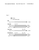 USE OF ISOQC INHIBITORS diagram and image