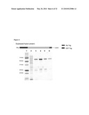 USE OF ISOQC INHIBITORS diagram and image