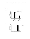 USE OF ISOQC INHIBITORS diagram and image