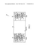 Electronic Devices with Carbon Nanotube Components diagram and image