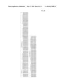 KEY INPUT DEVICE AND CHARACTER INPUT METHOD USING CENTER KEY diagram and image