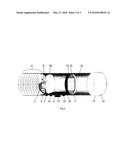 Weather-tight Video Projector with Unattended Operation diagram and image