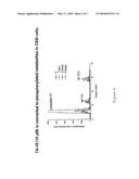 AZOLE NUCLEOSIDES AND USE AS INHIBITORS OF RNA AND DNA VIRAL POLYMERASES diagram and image