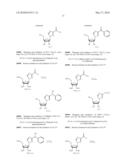 AZOLE NUCLEOSIDES AND USE AS INHIBITORS OF RNA AND DNA VIRAL POLYMERASES diagram and image