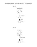 HERPES VIRUS INFECTION INHIBITOR, METHOD FOR INHIBITING INFECTION WITH HERPES VIRUS, AND USE THEREOF diagram and image