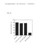 HERPES VIRUS INFECTION INHIBITOR, METHOD FOR INHIBITING INFECTION WITH HERPES VIRUS, AND USE THEREOF diagram and image