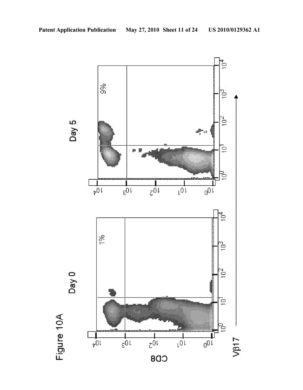 TREATMENT OF PSORIATIC ARTHRITIS WITH ANTI-CD70 ANTIBODY - diagram, schematic, and image 12