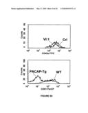 INHIBITION OF PACAP SIGNALLING FOR THE PREVENTION AND TREATMENT OF THROMBOCYTOPENIA diagram and image