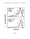 STABILIZED ANTIBODY FORMULATIONS AND USES THEREOF diagram and image