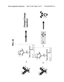 STABILIZED ANTIBODY FORMULATIONS AND USES THEREOF diagram and image
