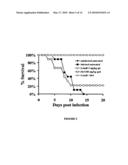 COMPOSITIONS AND METHODS FOR THE TREATMENT OF MUCORMYCOSIS AND OTHER FUNGAL DISEASES diagram and image