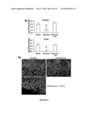 COMPOSITIONS AND METHODS FOR THE TREATMENT OF MUCORMYCOSIS AND OTHER FUNGAL DISEASES diagram and image