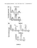 COMPOSITIONS AND METHODS FOR THE TREATMENT OF MUCORMYCOSIS AND OTHER FUNGAL DISEASES diagram and image