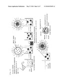 NANOPARTICLE-DISPERSED FINE GLASS BEADS HAVING A CAVITY THEREIN, AND METHOD OF PRODUCING THE SAME diagram and image