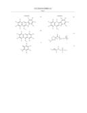 POLYMERS AND THEIR USE AS FLUORESCENT LABELS diagram and image