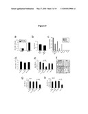 SPINK1 AS A PROSTATE CANCER MARKER AND USES THEREOF diagram and image